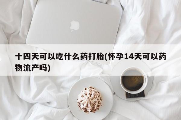 打胎药私人微信购买十四天可以吃什么药打胎(怀孕14天可以药物流产吗)